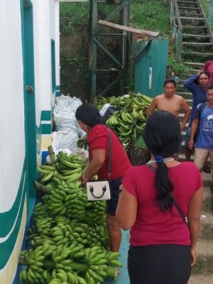 Nesta segunda-feira (27), o Instituto de Desenvolvimento Agropecuário e Florestal Sustentável do Estado do Amazonas (Idam) atuou na logística de sete toneladas de alimentos produzidos por agricultores familiares indígenas de Amaturá (distante 909 quilômetros de Manaus). Os itens, que foram comercializados por meio do Programa de Aquisição de Alimentos (PAA) Indígena, tiveram como destino escolas municipais indígenas locais.