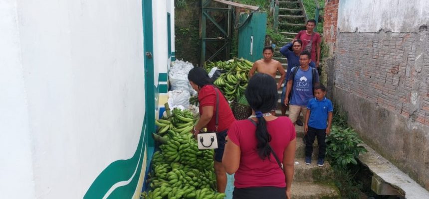 Nesta segunda-feira (27), o Instituto de Desenvolvimento Agropecuário e Florestal Sustentável do Estado do Amazonas (Idam) atuou na logística de sete toneladas de alimentos produzidos por agricultores familiares indígenas de Amaturá (distante 909 quilômetros de Manaus). Os itens, que foram comercializados por meio do Programa de Aquisição de Alimentos (PAA) Indígena, tiveram como destino escolas municipais indígenas locais.