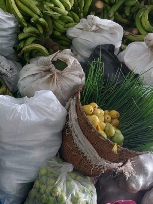 O Governo do Amazonas, por meio da Secretaria de Estado de Produção Rural (Sepror), em conjunto com o Instituto de Desenvolvimento Agropecuário e Florestal Sustentável (Idam), adquiriu, mais de 10 toneladas de alimentos da agricultura e pesca indígena do município de Amaturá (a 909 quilômetros de Manaus).