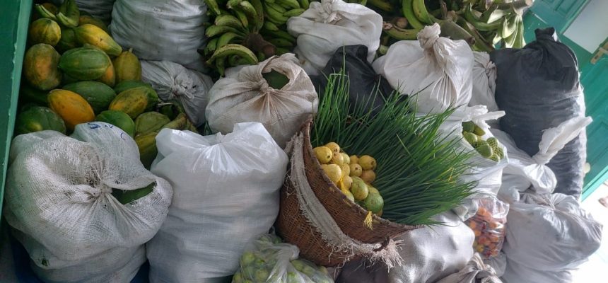 O Governo do Amazonas, por meio da Secretaria de Estado de Produção Rural (Sepror), em conjunto com o Instituto de Desenvolvimento Agropecuário e Florestal Sustentável (Idam), adquiriu, mais de 10 toneladas de alimentos da agricultura e pesca indígena do município de Amaturá (a 909 quilômetros de Manaus).