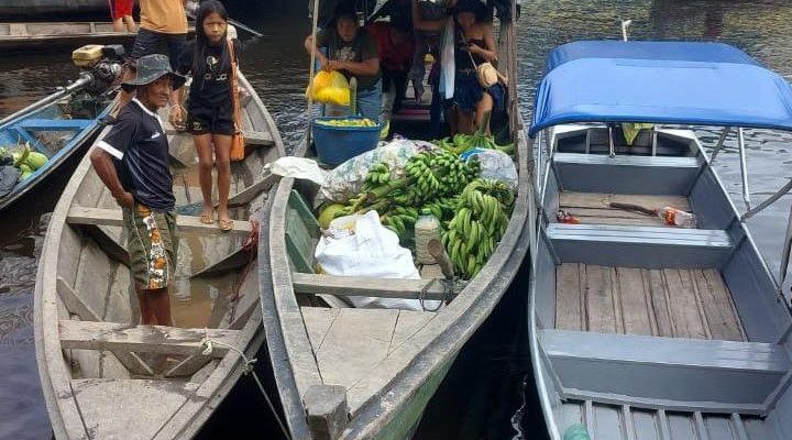 Dez toneladas de alimentos produzidos por agricultores familiares indígenas de Amaturá (distante 909 quilômetros de Manaus) foram entregues, na manhã desta quinta-feira (20), a escolas indígenas do município. A logística dos alimentos, adquiridos por meio do Programa de Aquisição de Alimentos (PAA) Indígena, foi efetuada pelo Instituto de Desenvolvimento Agropecuário e Florestal Sustentável do Estado do Amazonas (Idam).