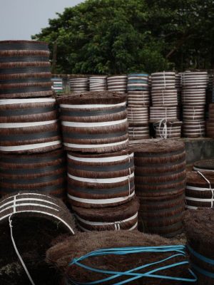 O governador Wilson Lima abriu, nesta segunda-feira (15), o edital de credenciamento na subvenção econômica da piaçava, um apoio financeiro pago pelo Governo do Amazonas que garante renda extra e valoriza o trabalho dos extrativistas. O benefício, sob a responsabilidade da Agência de Desenvolvimento Sustentável do Amazonas (ADS), reforça o compromisso do Estado em fortalecer a economia da floresta e incentivar a produção sustentável.